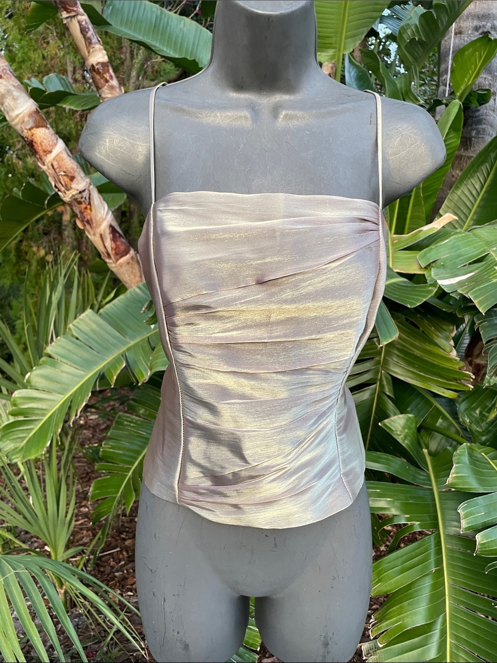 Gold champagne corset top